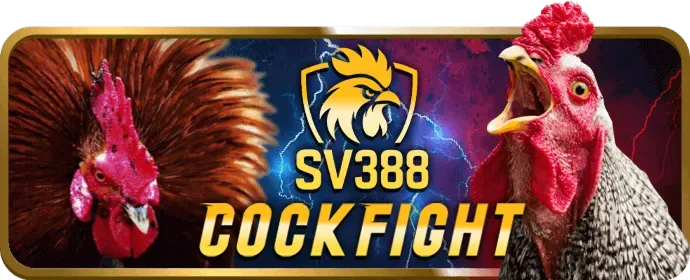 Tiền thưởng chào mừng nn88 bet